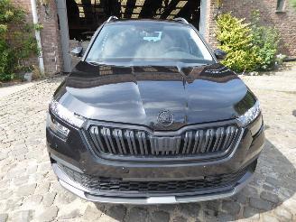 Skoda Kamiq Ambition picture 2