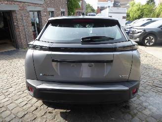 Peugeot e-2008 Active picture 6