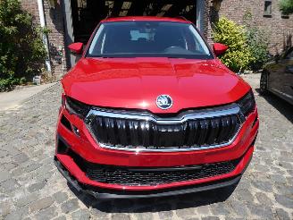 Skoda Karoq Selection picture 3