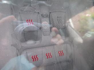 Tesla Model 3  picture 21