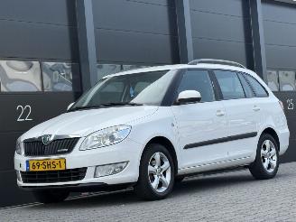 occasione autovettura Skoda Fabia 1.2 TDI Greenline 2011/10