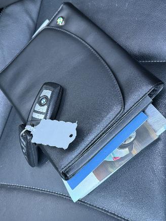 BMW X3 xDrive20d Panorama Camera Xenon Leer picture 14