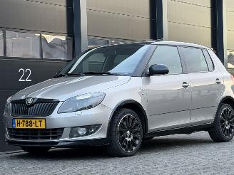  Skoda Fabia 1.6 TDI Monte-Carlo Dak Navi Clima 2013/5