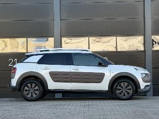 Citroën C4 cactus 1.6 BlueHDi Panorama Camera picture 3