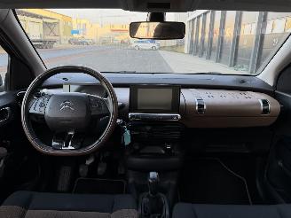 Citroën C4 cactus 1.6 BlueHDi Panorama Camera EURO-6 picture 7