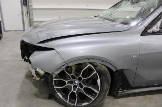 BMW X7  picture 6