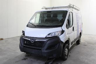 Auto incidentate Opel Movano  2023/2