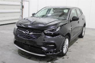 škoda osobní automobily Opel Grandland X 2019/10