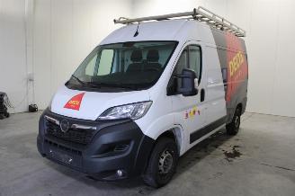 škoda osobní automobily Opel Movano  2022/6