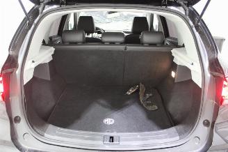 MG ZS  picture 17