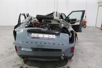 Mini Cooper _COUNTRYMAN picture 8