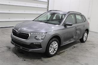 Avarii autoturisme Skoda Kamiq  2025/4