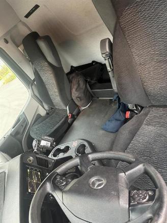 Mercedes Antos  picture 7