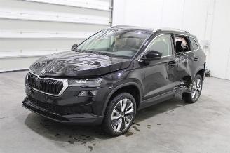 Auto incidentate Skoda Karoq  2024/7