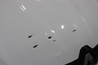 Renault Mégane Megane picture 24