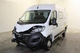 Unfallwagen Opel Movano  2023/6