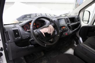 Opel Movano  picture 10