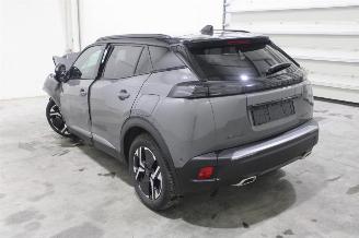 Peugeot 2008  picture 4