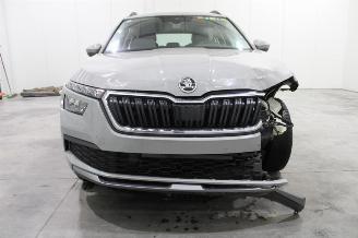 Skoda Kamiq  picture 5