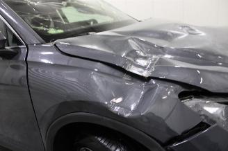 Volkswagen Tiguan  picture 8