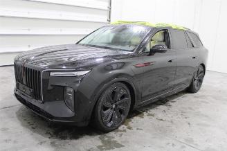 Auto da rottamare Hongqi EHS9 E-HS9 2024/5