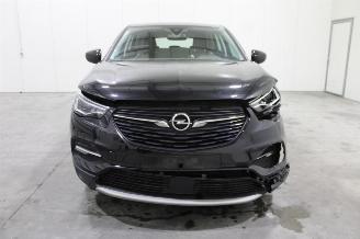 Opel Grandland X picture 6