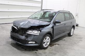 skadebil auto Skoda Fabia  2021/3