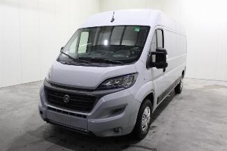 Purkuautot passenger cars Fiat Ducato  2021/9