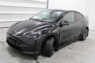 Auto incidentate Tesla Model Y  2025/1