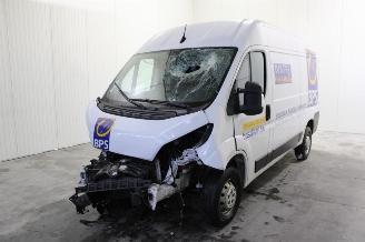 Auto incidentate Opel Movano  2022/12
