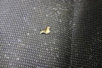 Toyota ProAce CITY picture 25