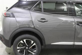 Peugeot 2008  picture 21