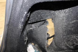 Tesla Model Y  picture 22