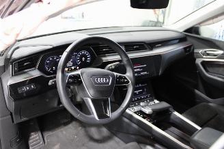 Audi E-tron  picture 8