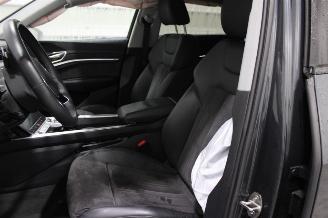 Audi E-tron  picture 9