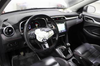 MG ZS  picture 10