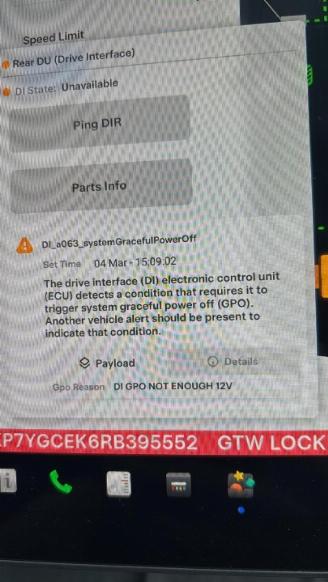 Tesla Model Y  picture 13