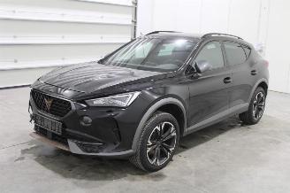 Cupra Formentor  picture 1