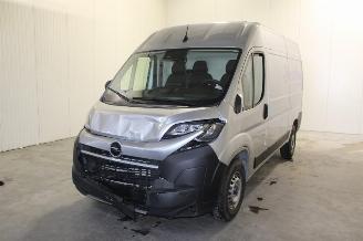 škoda osobní automobily Opel Movano  2025/9