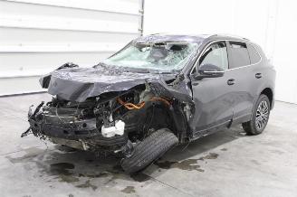 Voiture accidenté Volkswagen Tiguan  2024/12