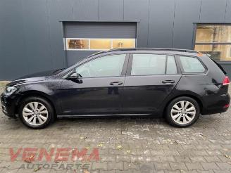 Volkswagen Golf Golf VII Variant (AUVV), Combi, 2013 / 2021 1.6 TDI BMT 16V picture 2