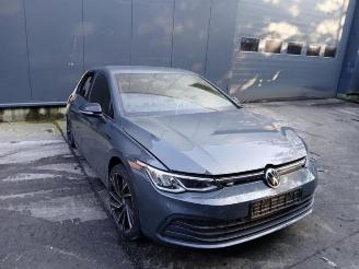 Autoverwertung Volkswagen Golf Golf VIII (CD1), Hatchback, 2019 2.0 TDI BlueMotion 16V 2020/6