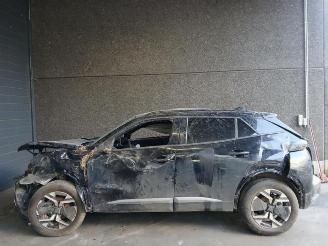 Peugeot 2008 2008 (UD/UK/UR/US/UX), MPV, 2019 1.2 VTi 12V PureTech 130 picture 8