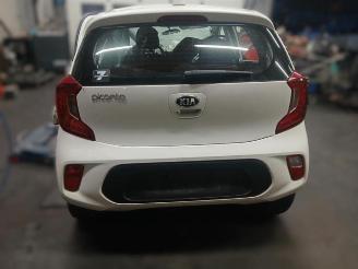 Kia Picanto Picanto (JA), Hatchback, 2017 1.2 CVVT 16V picture 7