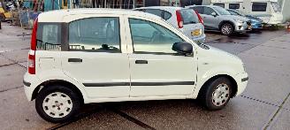 Fiat Panda  picture 5