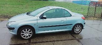 Avarii autoturisme Peugeot 206  2002/4