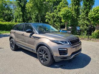 damaged passenger cars Land Rover Range Rover Evoque 20d 110KW AWD Aut. Pano 2019/5