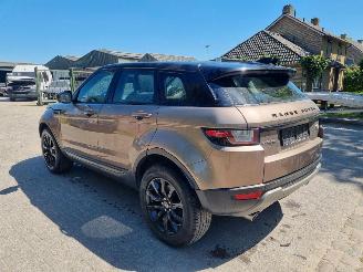 Land Rover Range Rover Evoque 20d 110KW AWD Aut. Pano picture 5