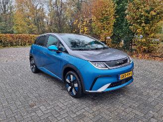 Voiture accidenté BYD Dolphin 60.4 kWh Pano Led Navi Camera 2024/9