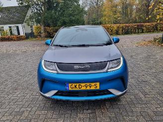 BYD Dolphin 60.4 kWh Pano Led Navi Camera picture 8